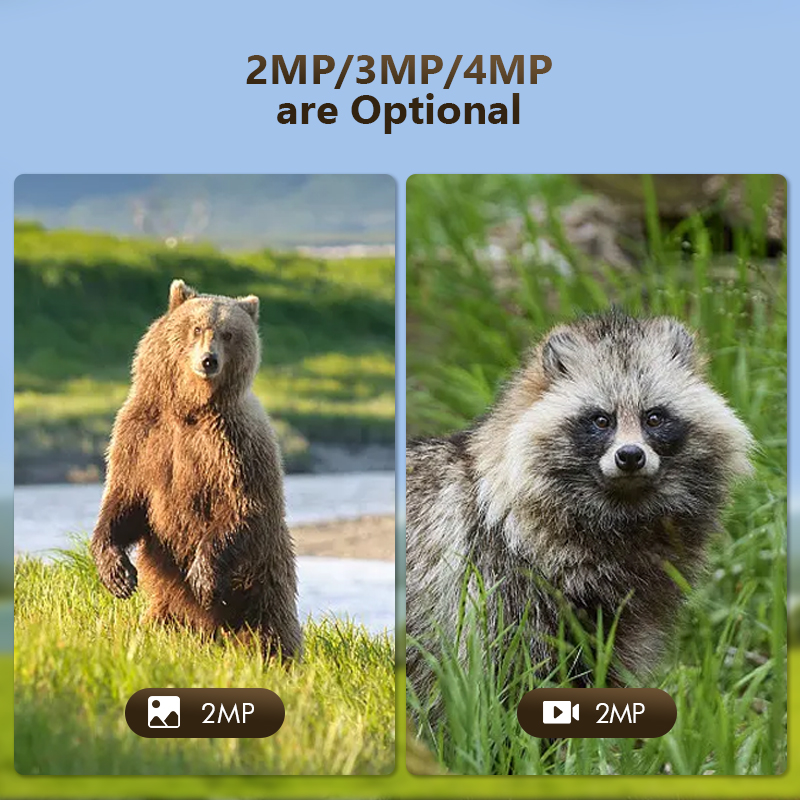 กล้องล่าสัตว์ป่ากลางแจ้ง4MP 4G - Trail Camera Infrared บทวิจารณ์และราคา