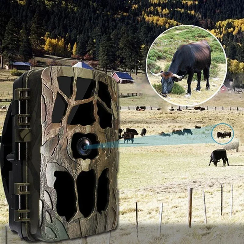 H982 IP66กันน้ำ4K กลางแจ้งอินฟ - Trail Camera Infrared บทวิจารณ์และราคา